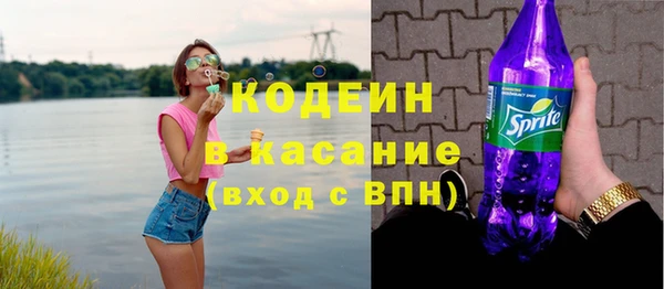таблы Бородино