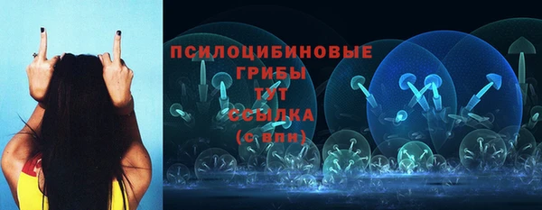 ECSTASY Бугульма