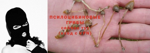 таблы Бородино