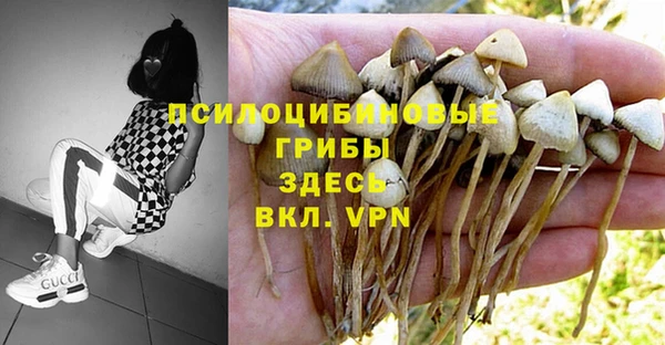 таблы Бородино