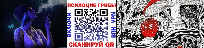 Галлюциногенные грибы Psilocybe  Купить закладки  Мелеуз 